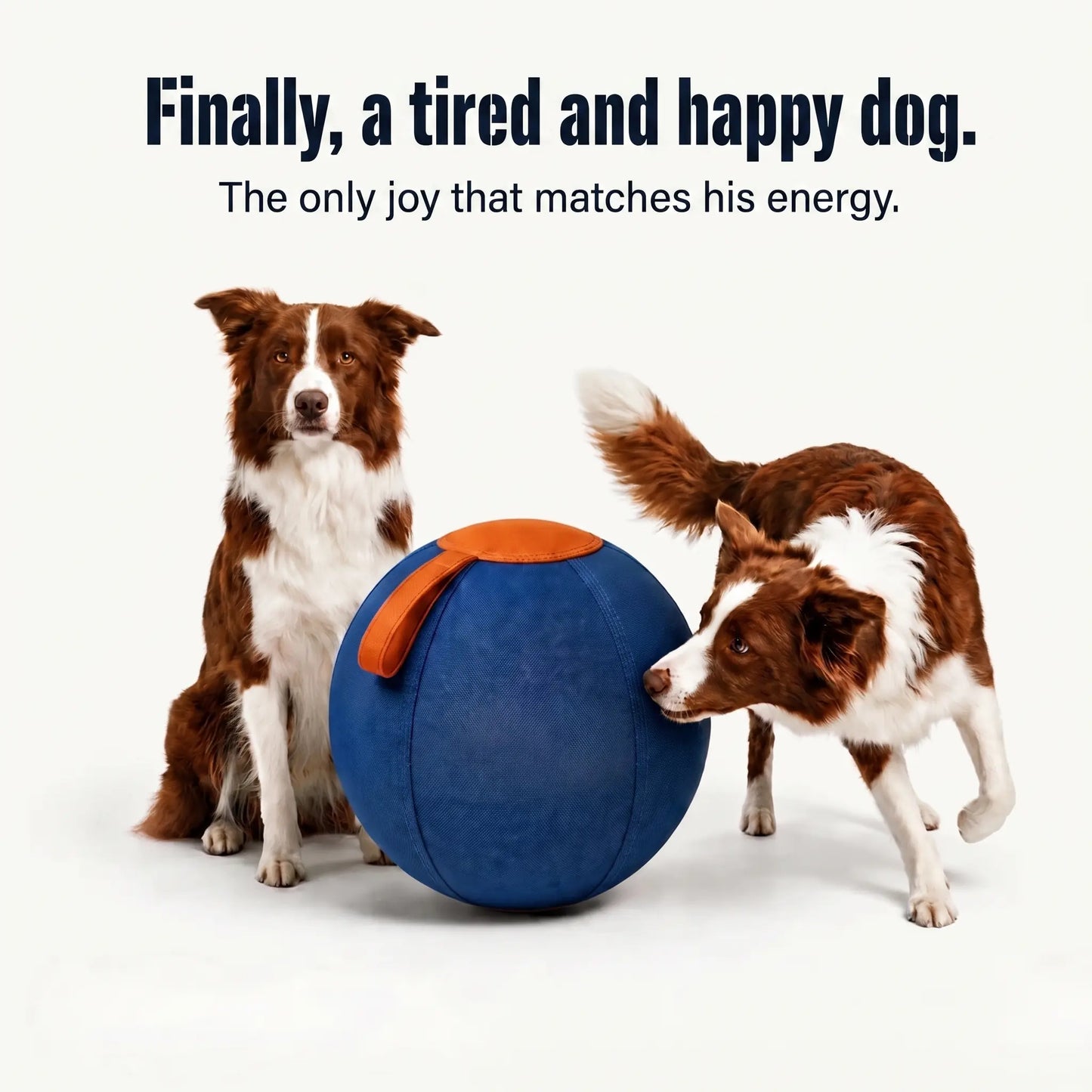 Herding ball
