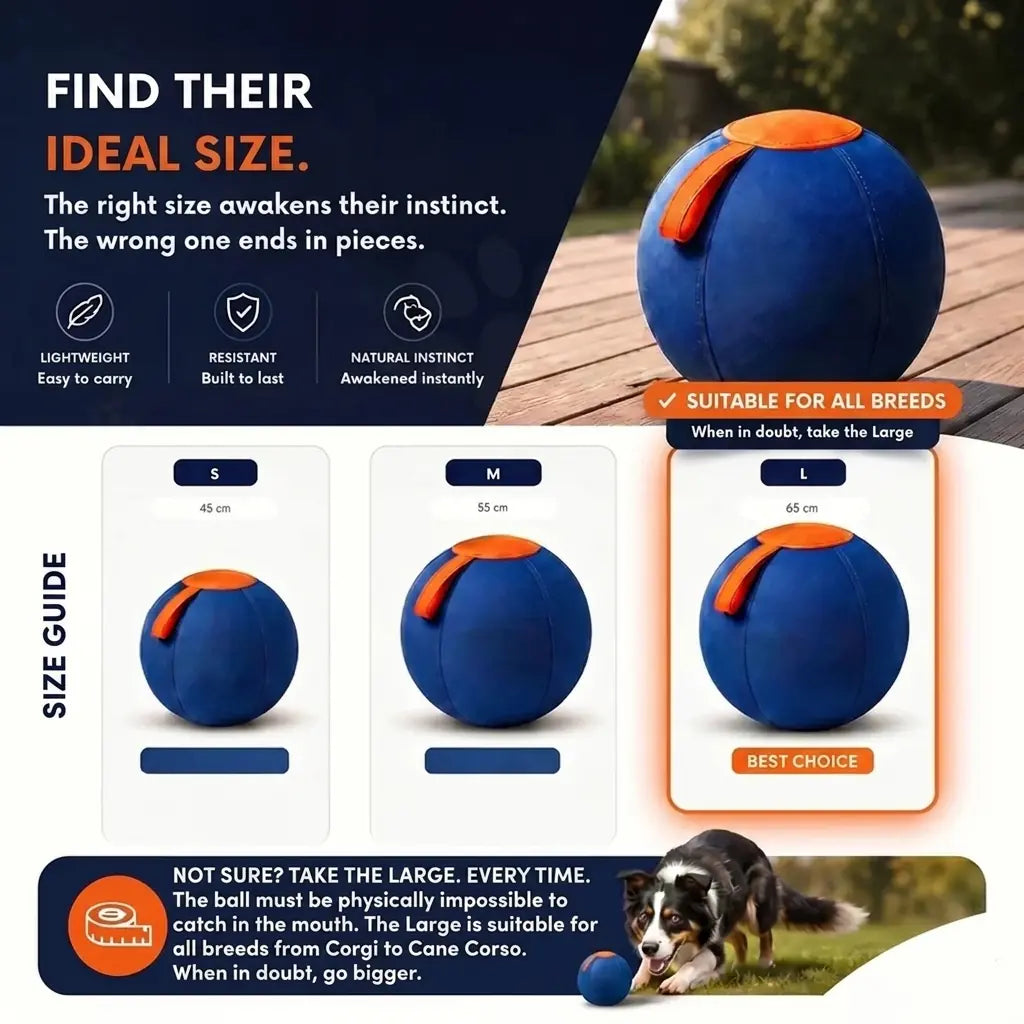 Herding ball