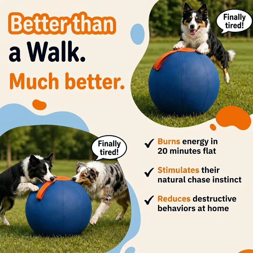 Herding ball