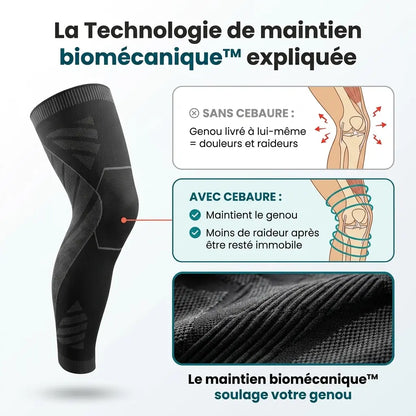 Maintien de compression pour Genoux